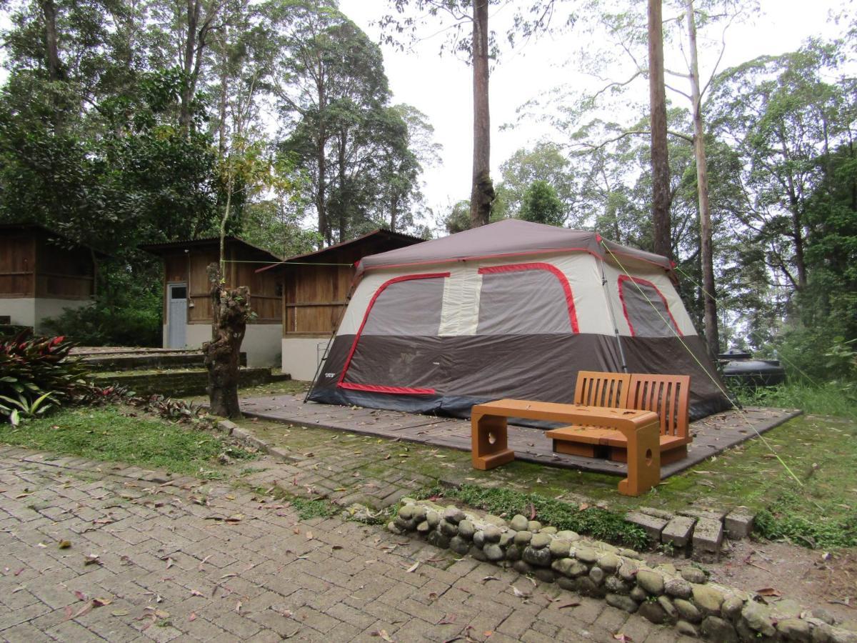 Lawu Forest Camp Sarangan Luaran gambar