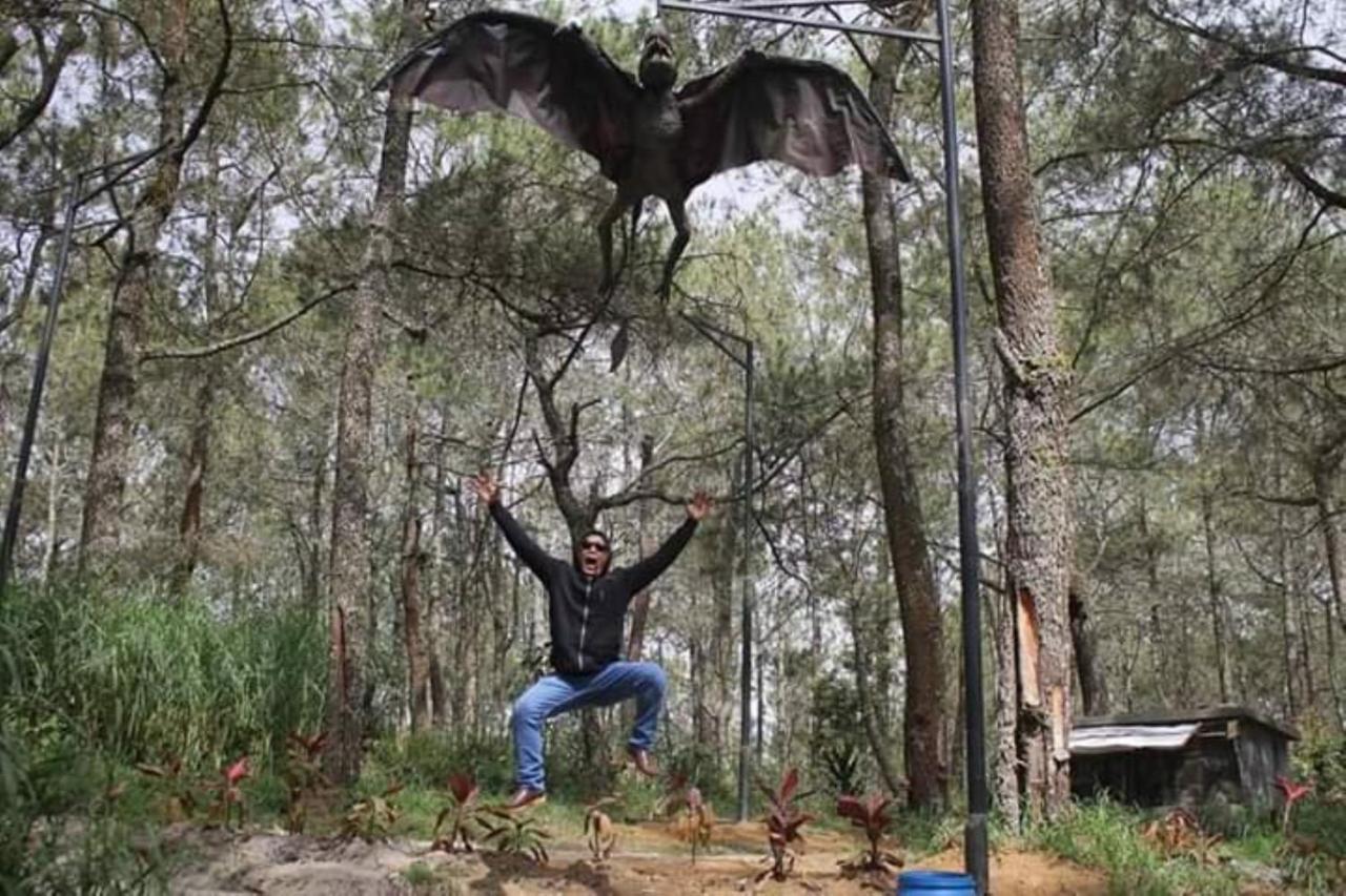 Lawu Forest Camp Sarangan Luaran gambar