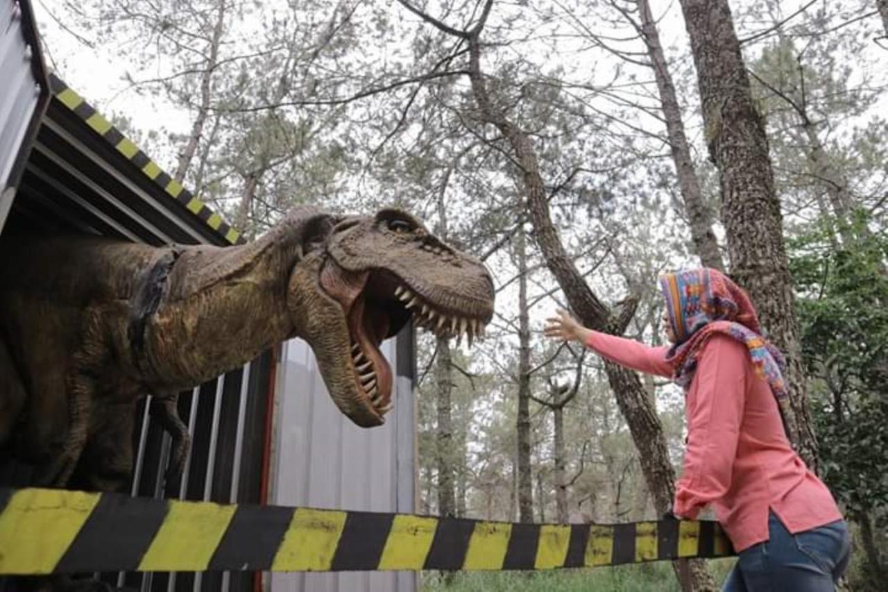 Lawu Forest Camp Sarangan Luaran gambar