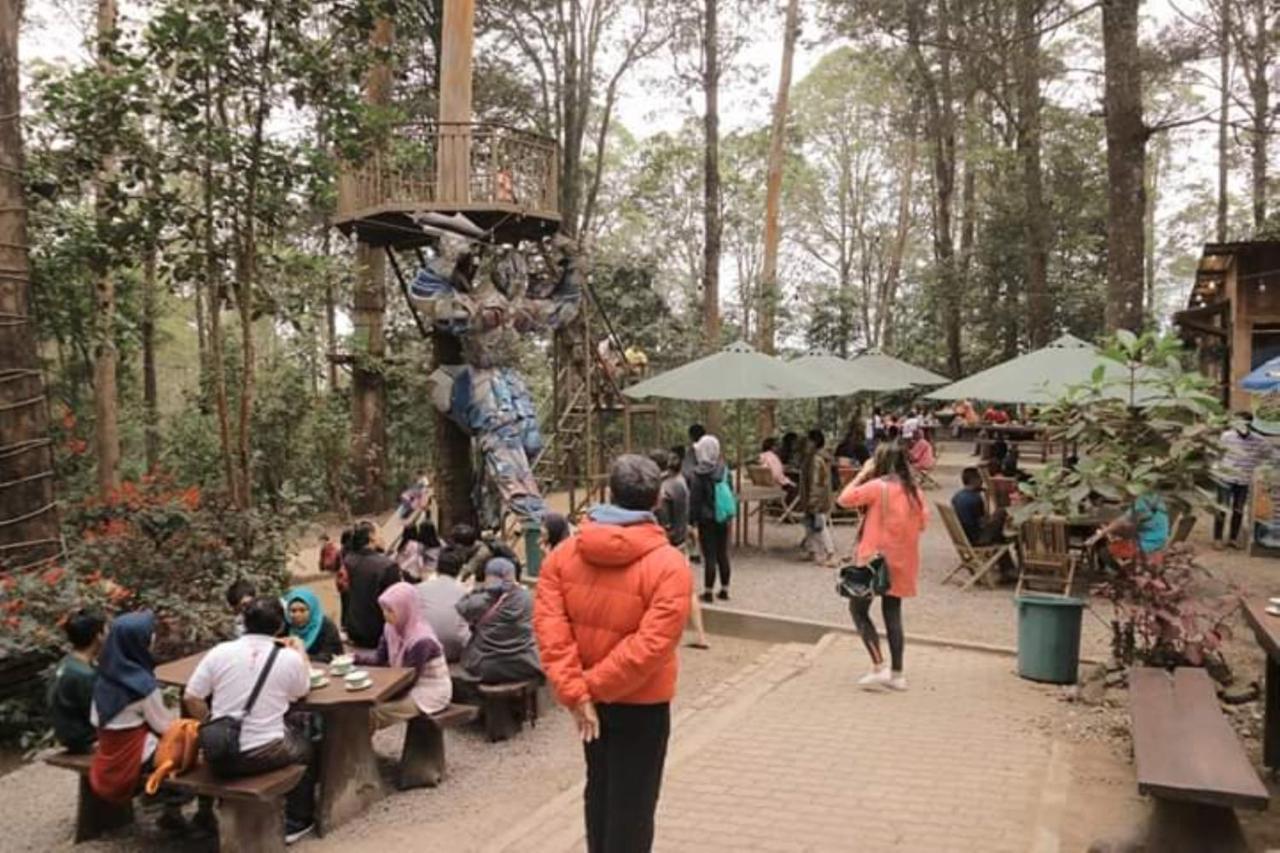 Lawu Forest Camp Sarangan Luaran gambar