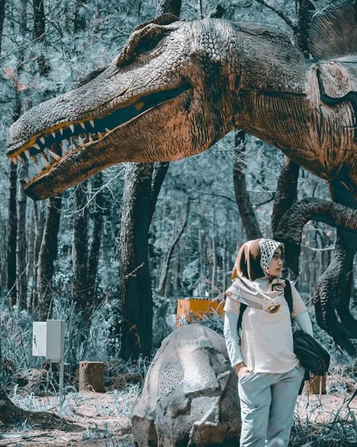 Lawu Forest Camp Sarangan Luaran gambar