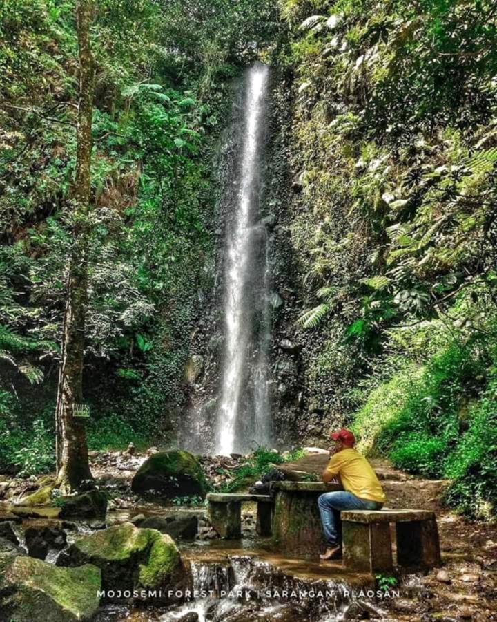 Lawu Forest Camp Sarangan Luaran gambar